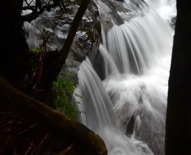 Discovery Baños