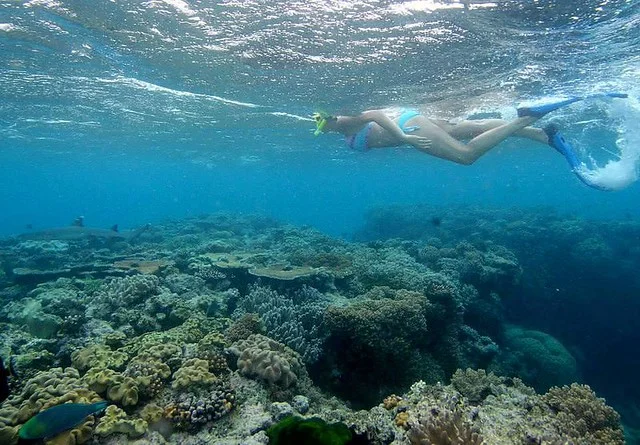 Careless Reef