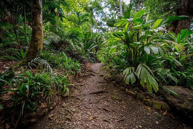 Garden of the Sleeping Giant