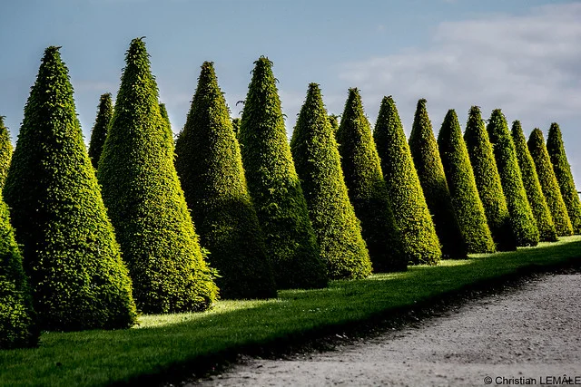 Versailles Gardens (Jardins de Versailles)