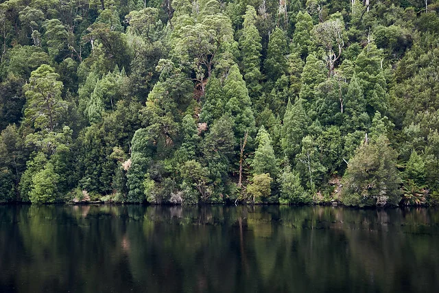 Gordon River