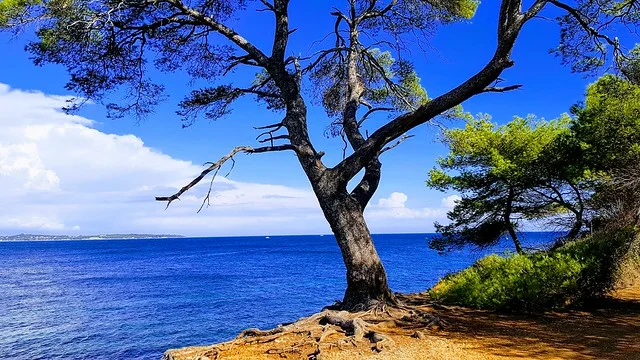 Île Sainte-Marguerite