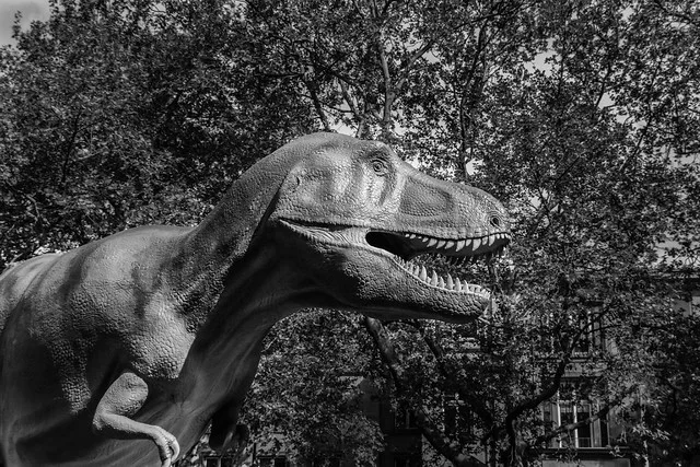 Senckenberg Natural History Museum (Naturmuseum Senckenberg)