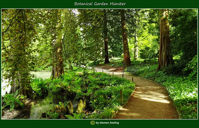 Botanical Garden Münster