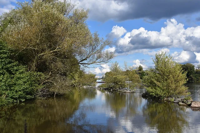 Main River - TernTour