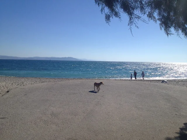 Lambi Beach