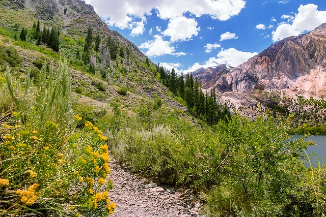 Convict Trail