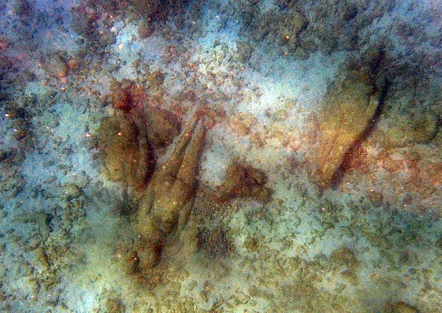 Molinière Underwater Sculpture Park