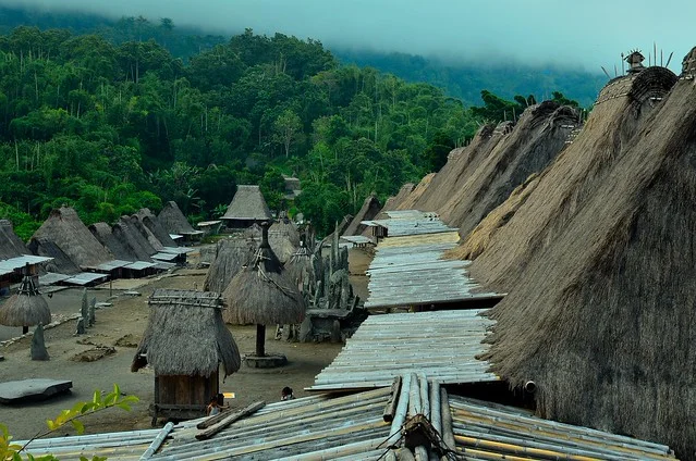 Bena Traditional Village