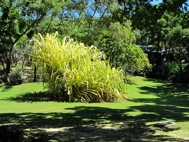 Gumbalimba Park