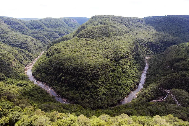 Valley of the Giants