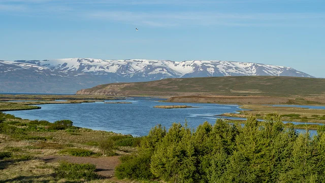 Dalvik