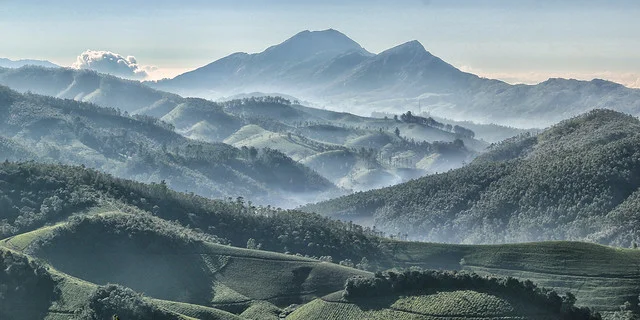 Eravikulam National Park