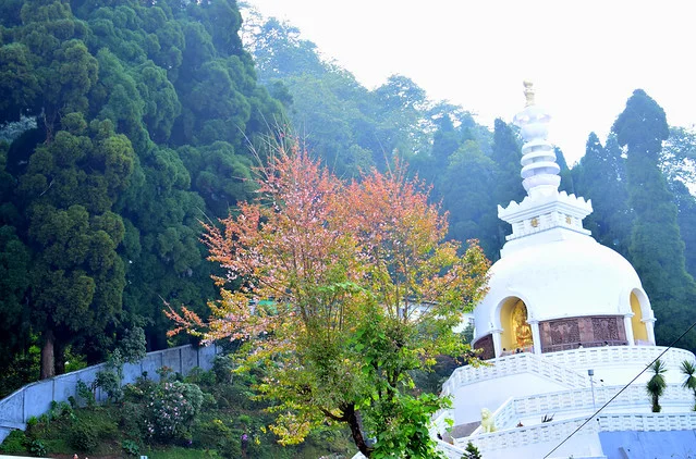 Japanese Peace Pagoda
