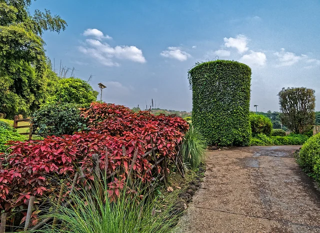Pune Okayama Friendship Garden