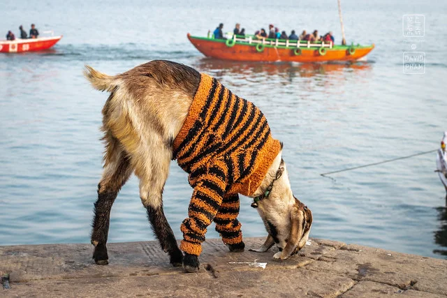 Varanasi Ghats (Banaras Ghats)