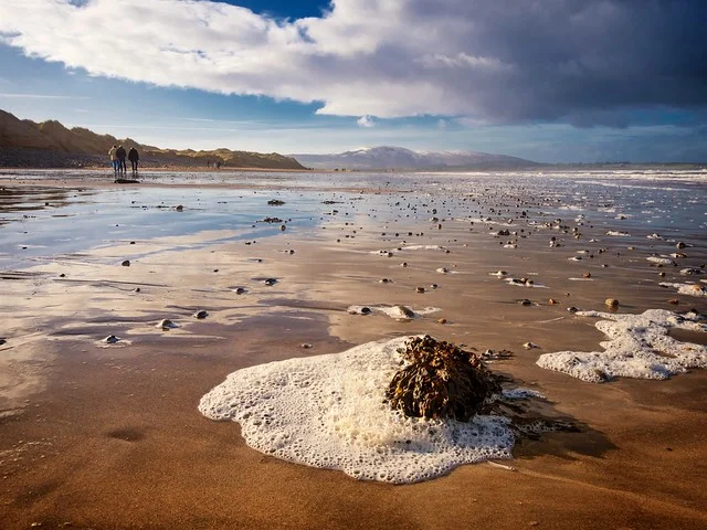Brees Strandhill Strandhill Beach - TernTour