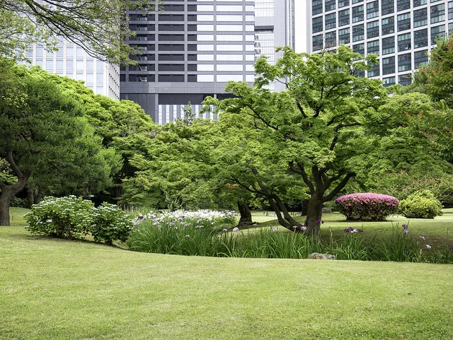 Hama Rikyu Gardens