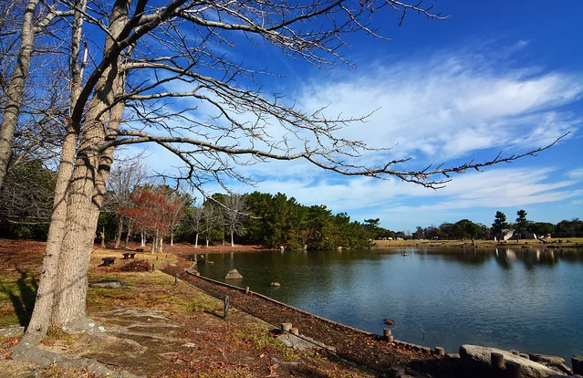 Uminonakamichi Seaside Park
