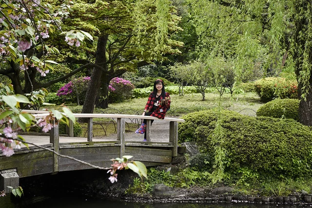 Shinjuku Park (Shinjuku Gyoen)