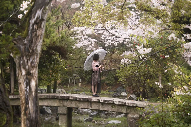 Maruyama Park (Maruyama Koen)