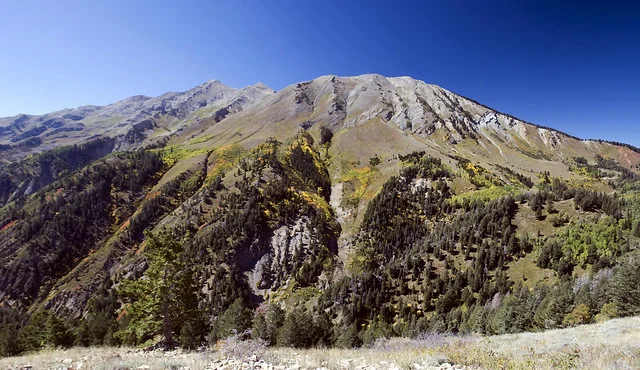 Mt. Nebo