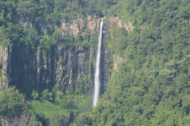 Aberdare National Park
