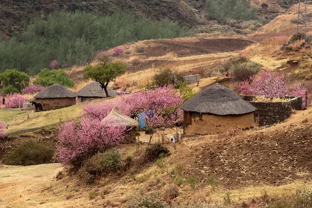 Lesotho