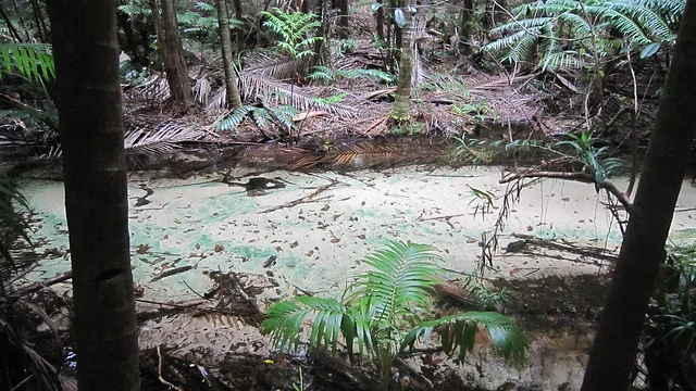 Fraser Island