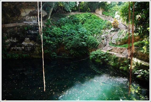 Sacred Cenote
