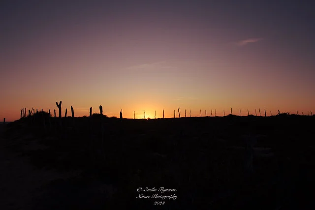 Playa La Cachora