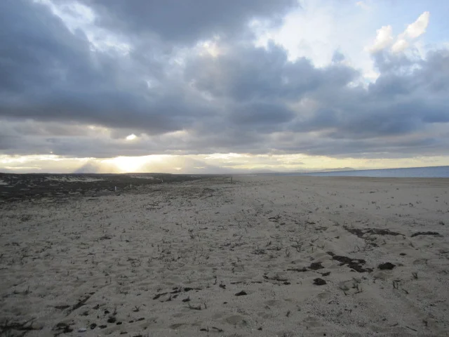 Tortugueros Las Playitas