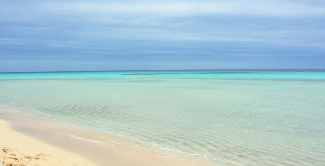 Paradise Reef (Paraíso Reef)
