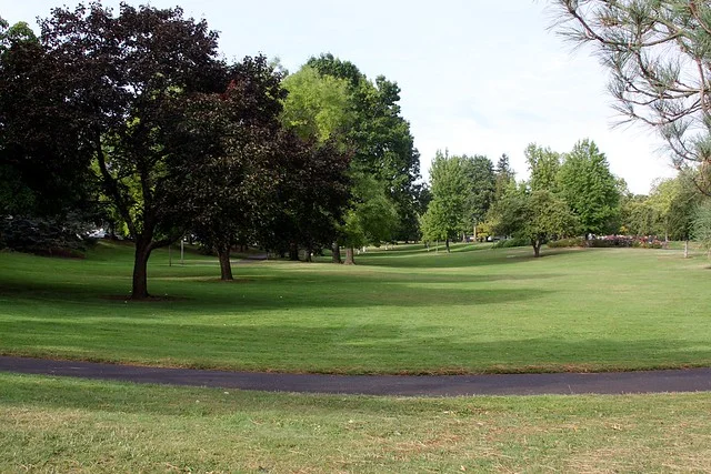 Ventura Park
