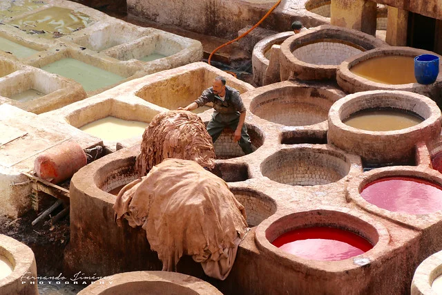 Medina of Fez (Fes el-Bali)