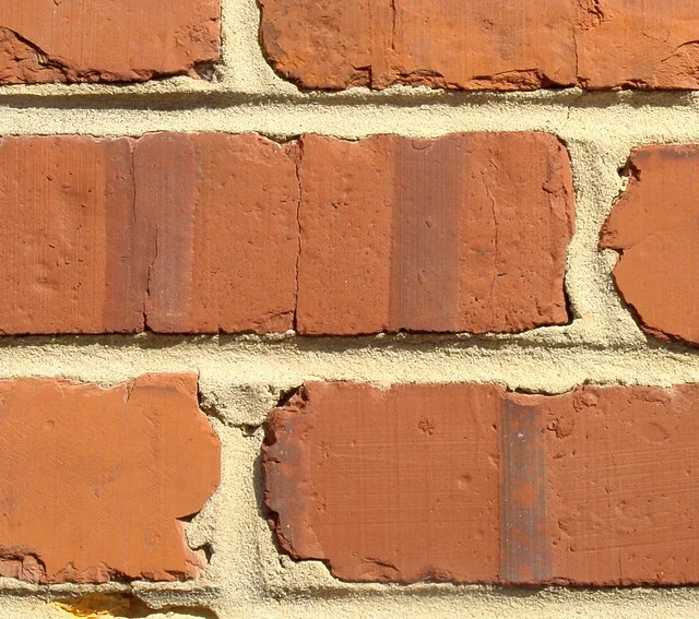 Wall Poems of Leiden