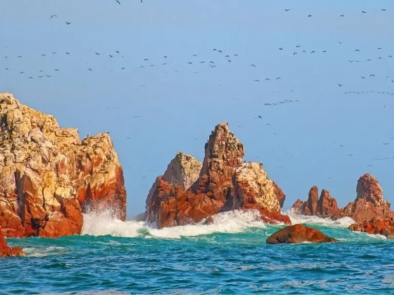 Ballestas Islands (Islas Ballestas)