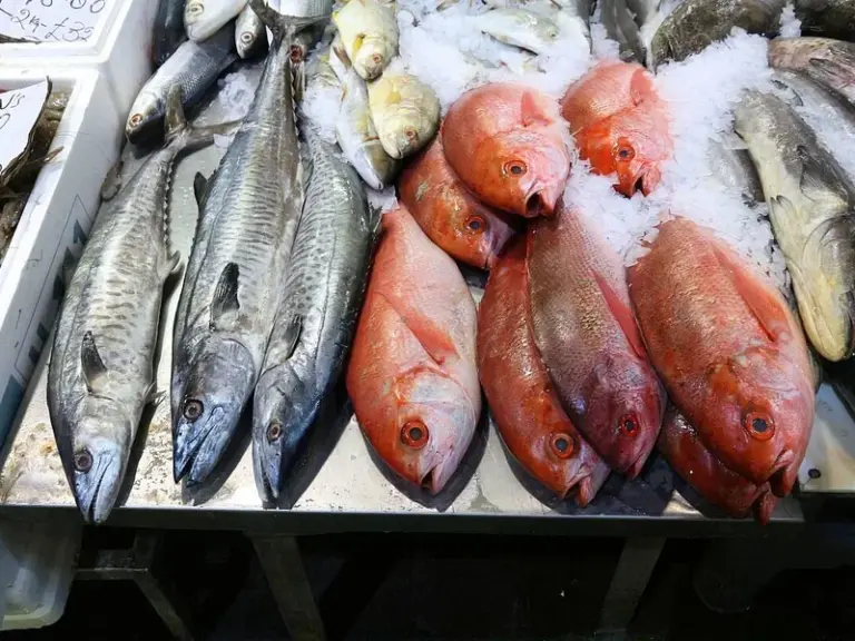 La Boqueria Market (Mercat de la Boqueria)