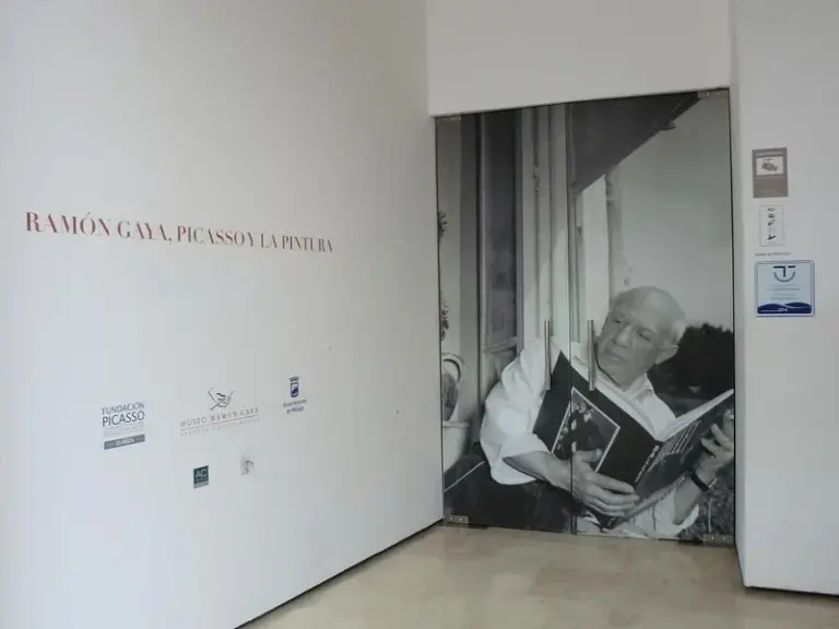 Pablo Picasso Birthplace Museum (Museo Casa Natal de Picasso)