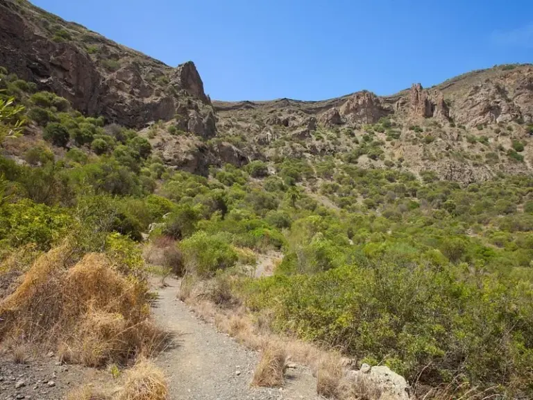 Bandama Caldera (Caldera de Bandama)