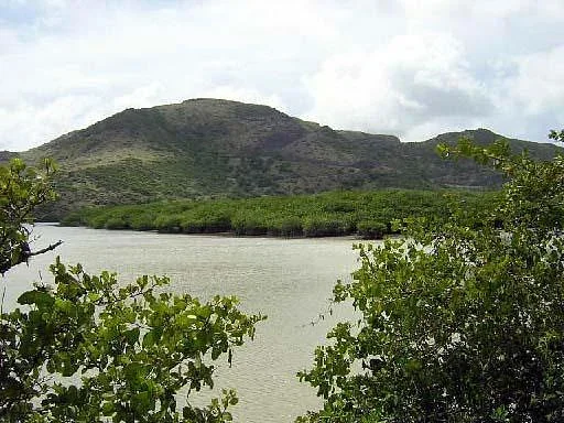 Great Salt Pond