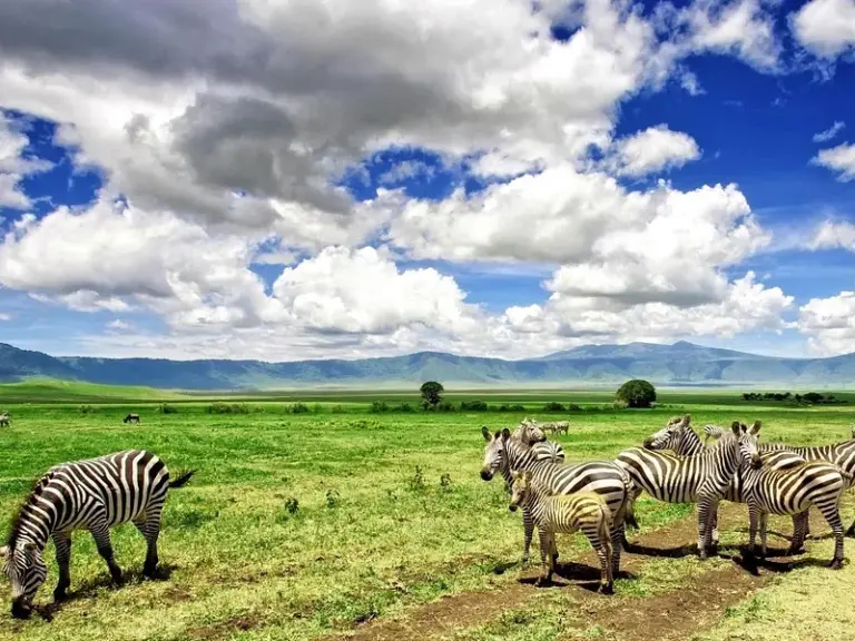 Ngorongoro Conservation Area