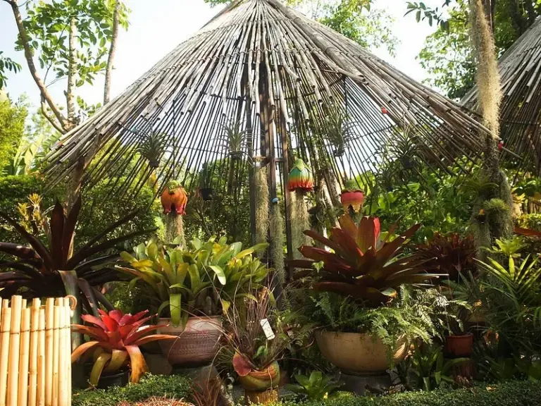 Phuket Botanic Garden