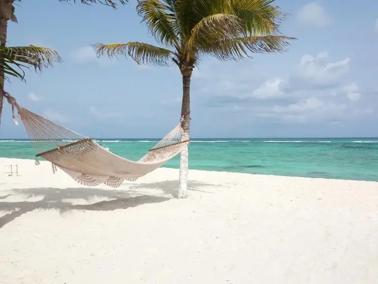 Rose Island
