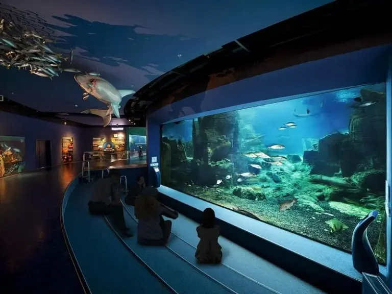 Istanbul Aquarium (Istanbul Akvaryum)