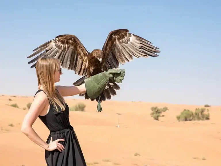 Dubai Desert Conservation Reserve (DDCR)