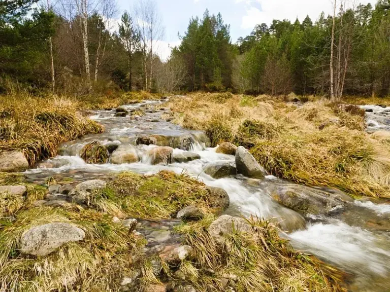 Cairngorms National Park