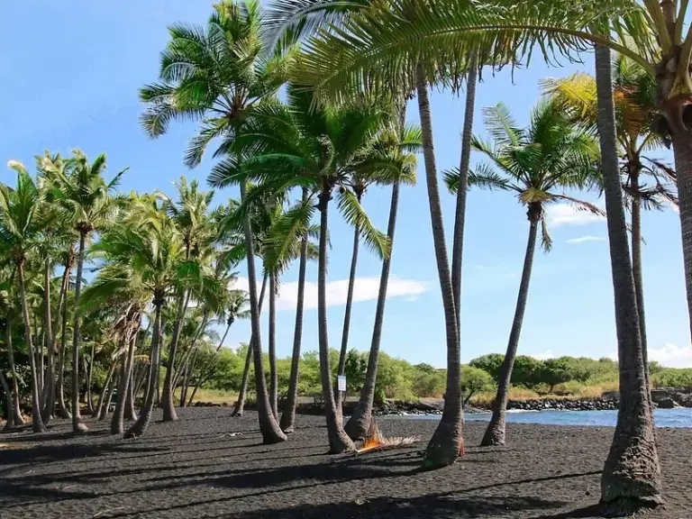 Punaluʻu Black Sand Beach
