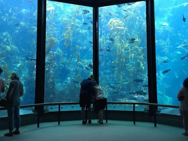 Monterey Bay Aquarium