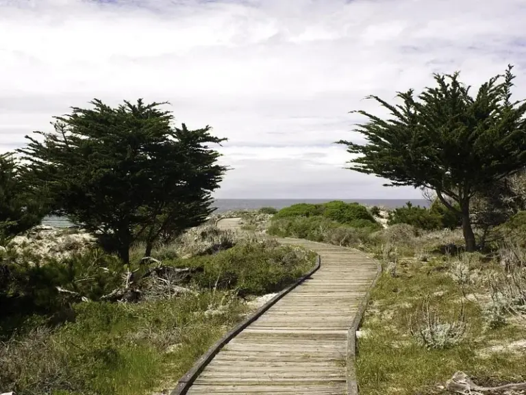 Asilomar State Beach